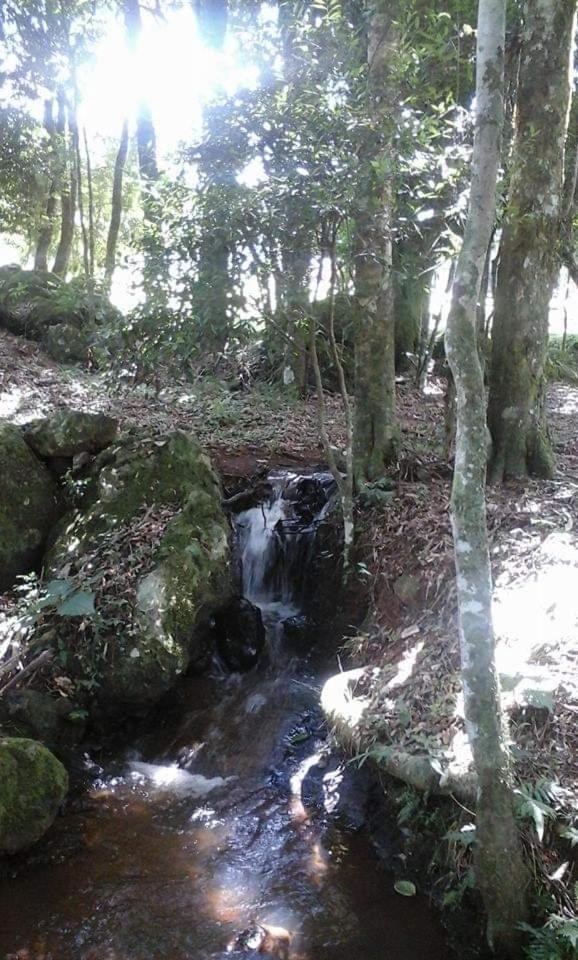 Camping Caitano Hotel Campo Grande  Bagian luar foto